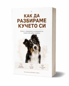 Как да разбираме кучето си
