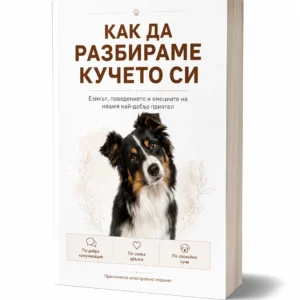Как да разбираме кучето си