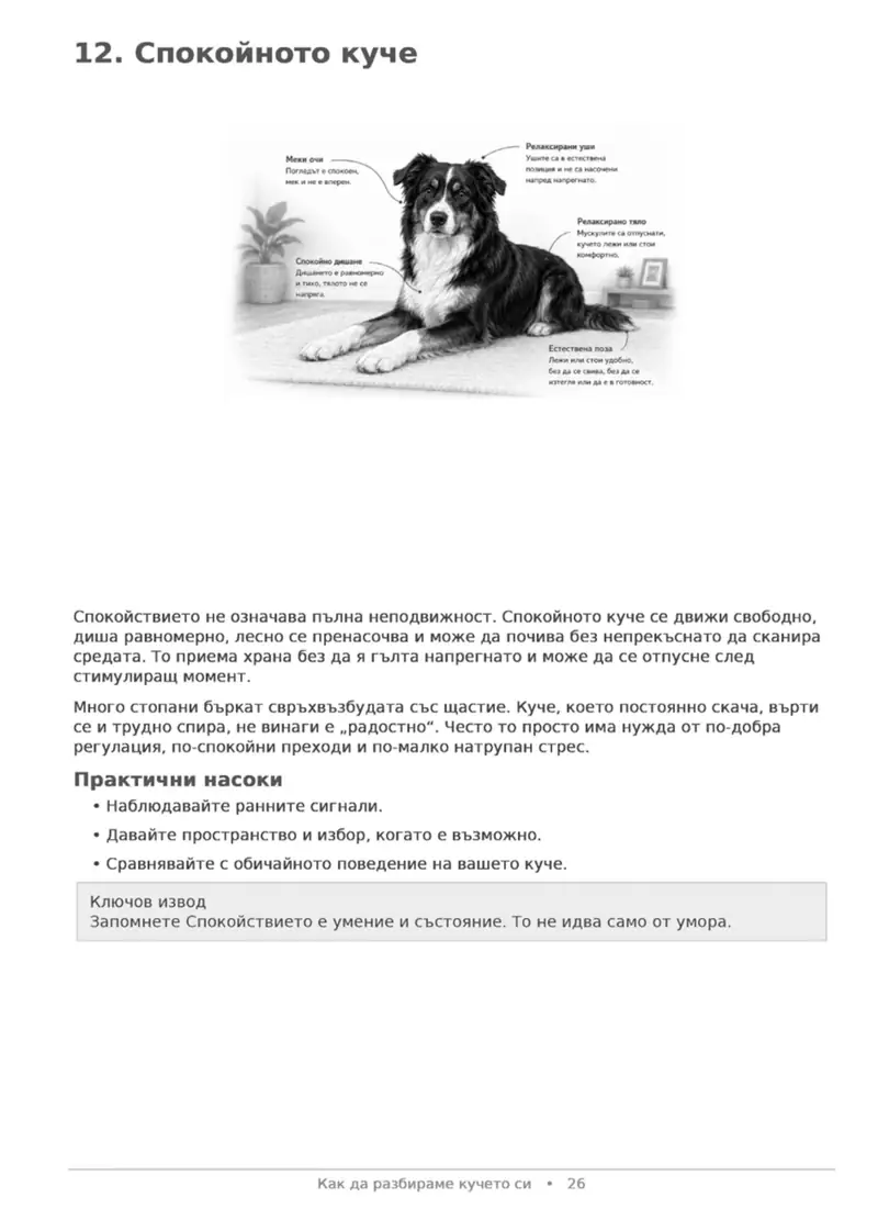 Как да разбираме кучето си