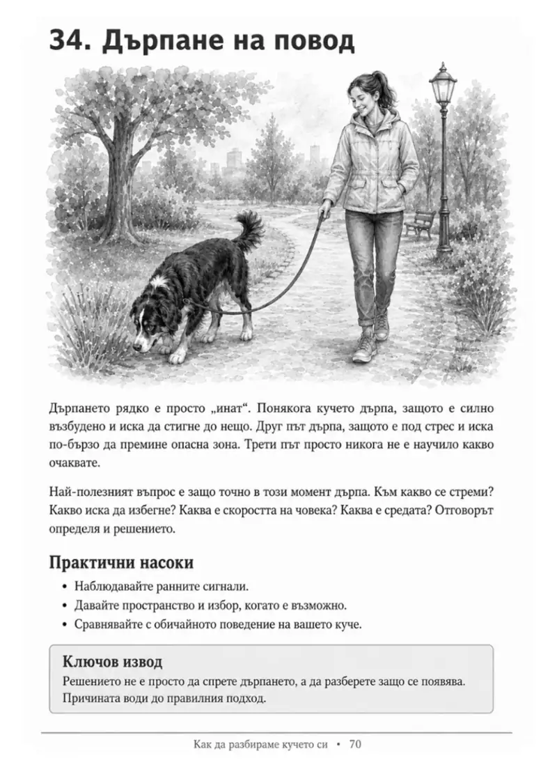 Как да разбираме кучето си